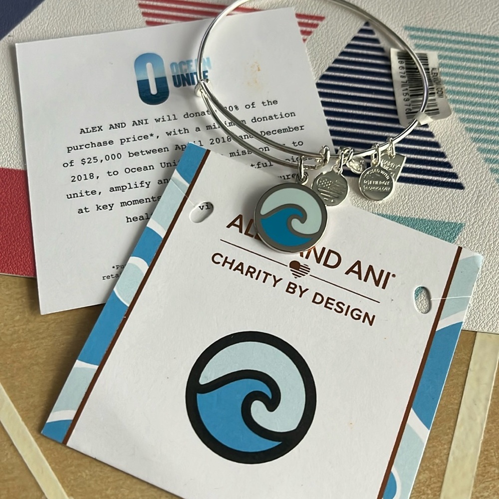 Alex and Ani Wave bracelet